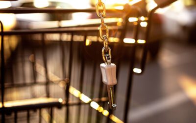 Balancing Innovation and Stability in Retail Operations